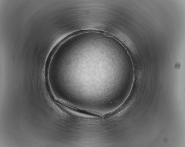 X0000097830884200803141143
