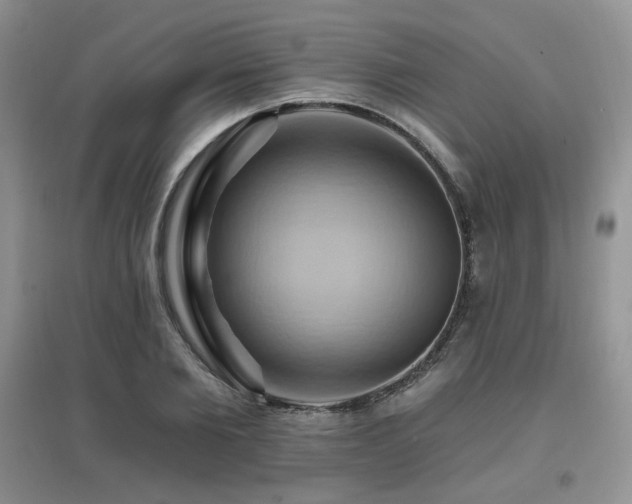 X0000097830885200803141143
