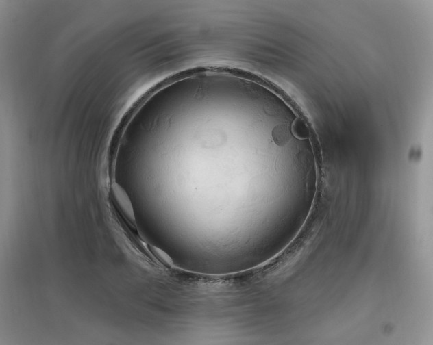 X0000097830887200803141143