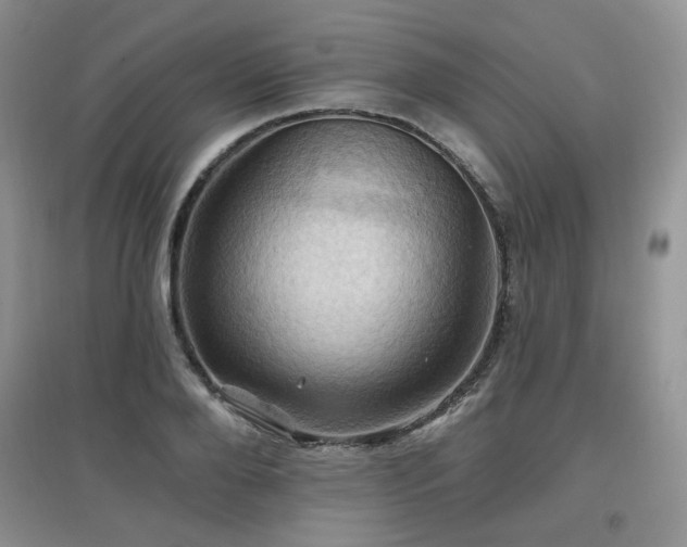 X0000097830888200803141143