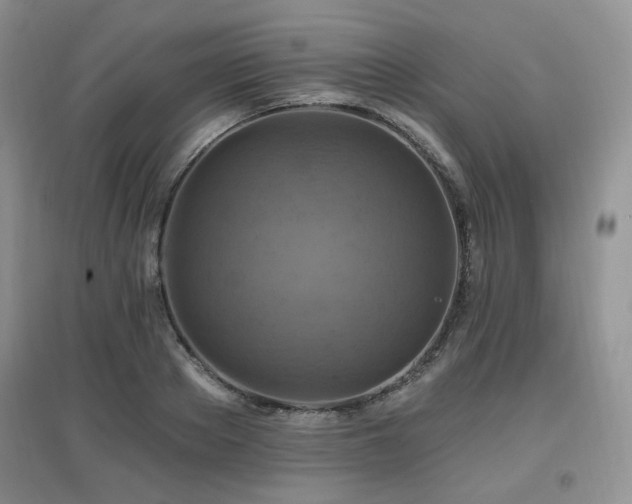 X0000097830889200803141143