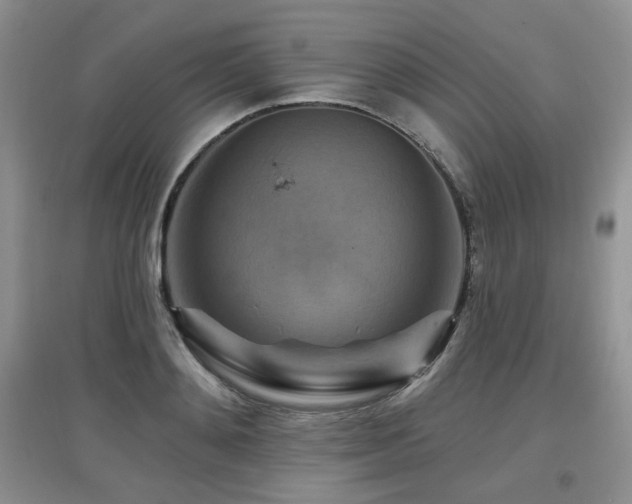 X0000097830892200803141143
