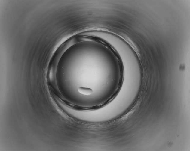 X0000097830893200803141142