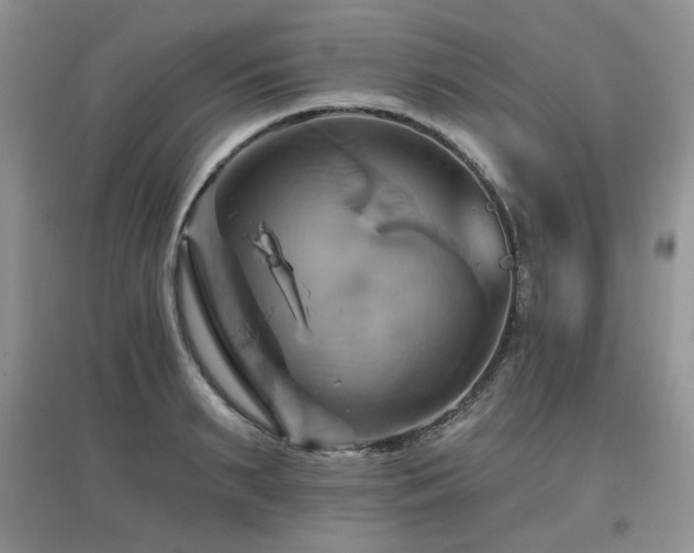 X0000097830895200803141142