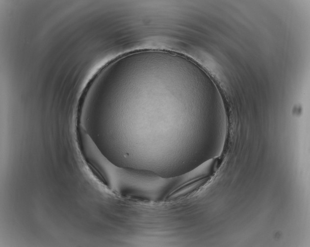 X0000097830896200803141142