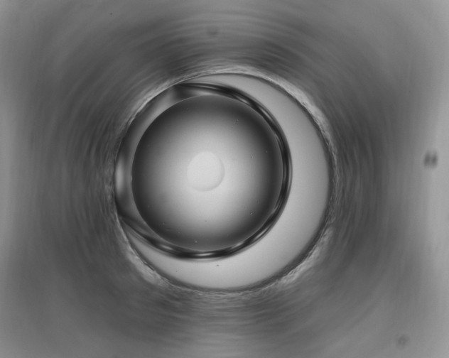 X0000097830897200803141142