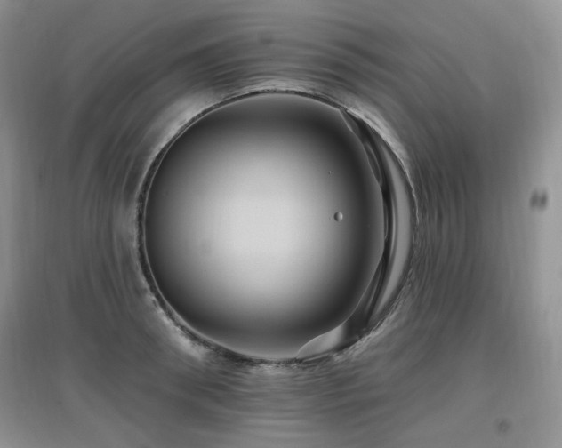 X0000097830898200803141142