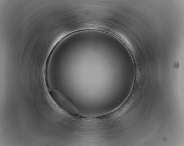 X0000097830899200803141142