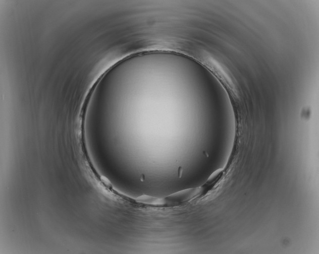 X0000097830900200803141142