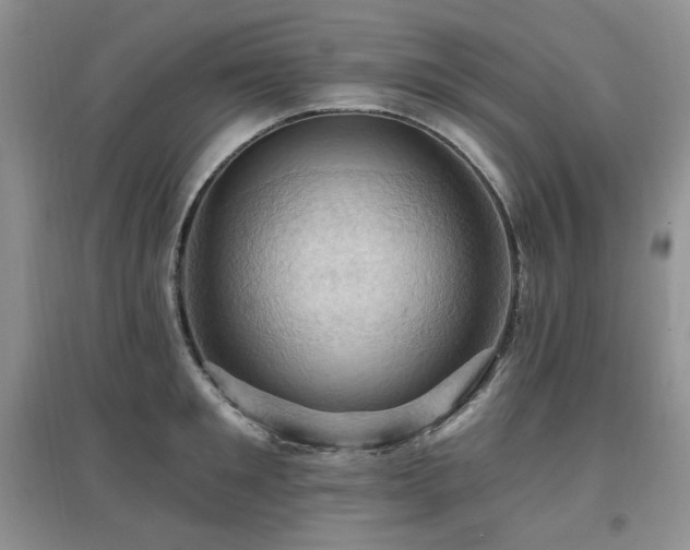 X0000097830901200803141142