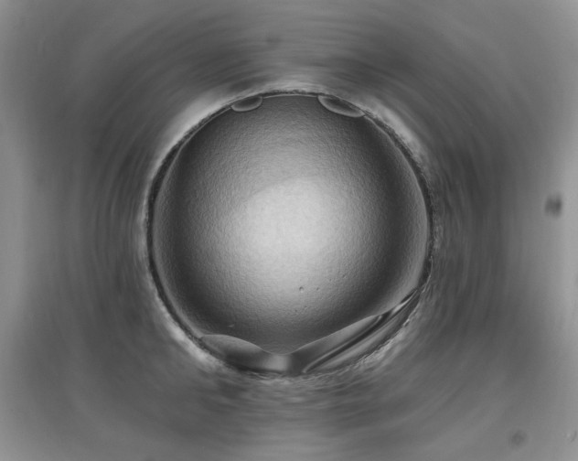 X0000097830902200803141142