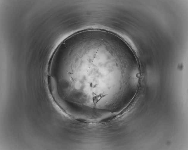 X0000097830903200803141142