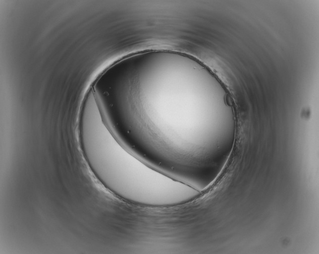 X0000097830904200803141142