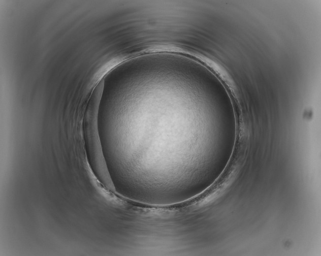 X0000097830905200803141142