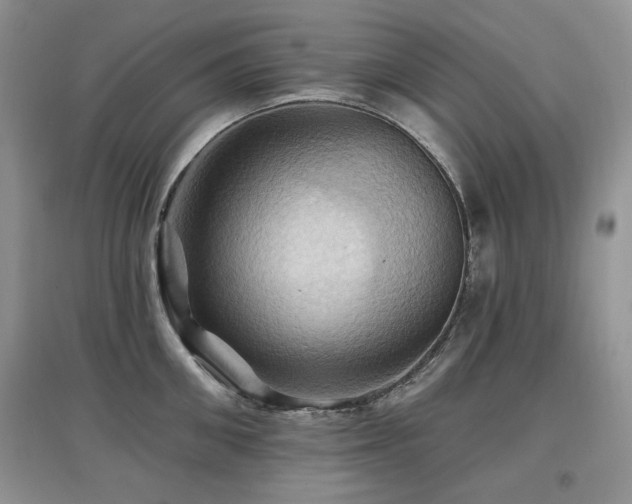 X0000097830906200803141142