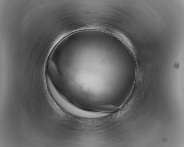 X0000097830907200803141142