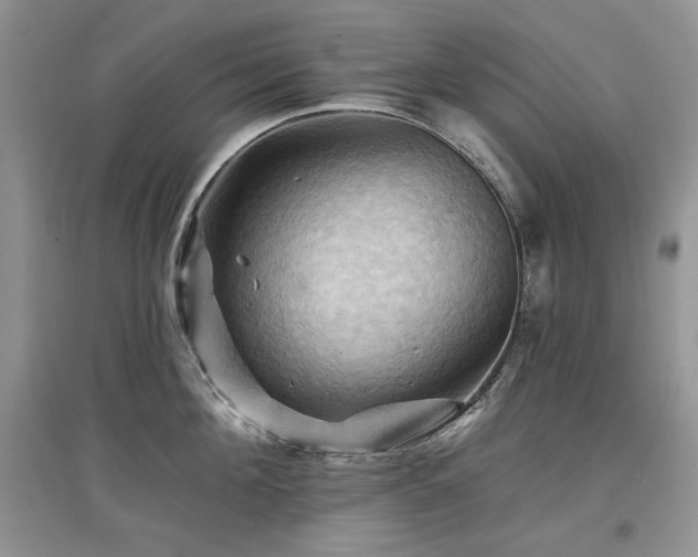 X0000097830908200803141142