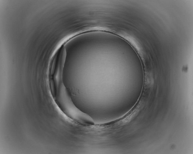 X0000097830910200803141142