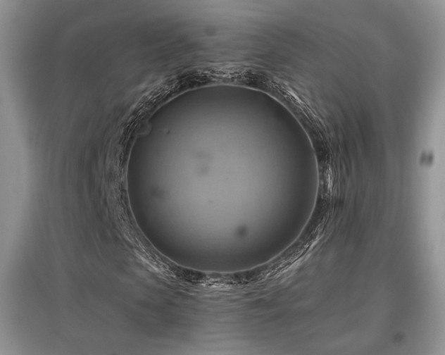 X0000097830913200803141142