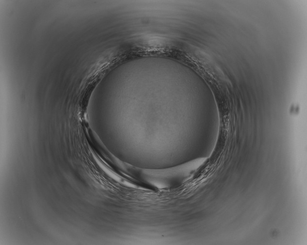 X0000097830916200803141142