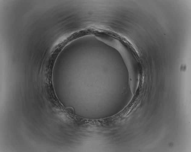 X0000097830919200803141142