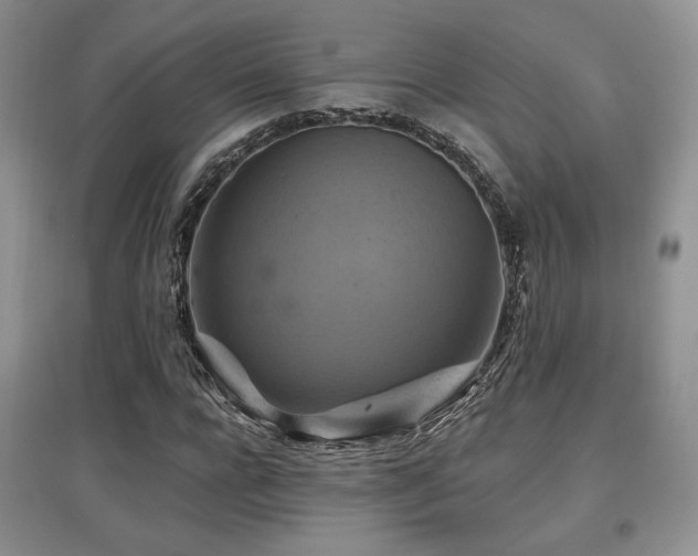 X0000097830920200803141142
