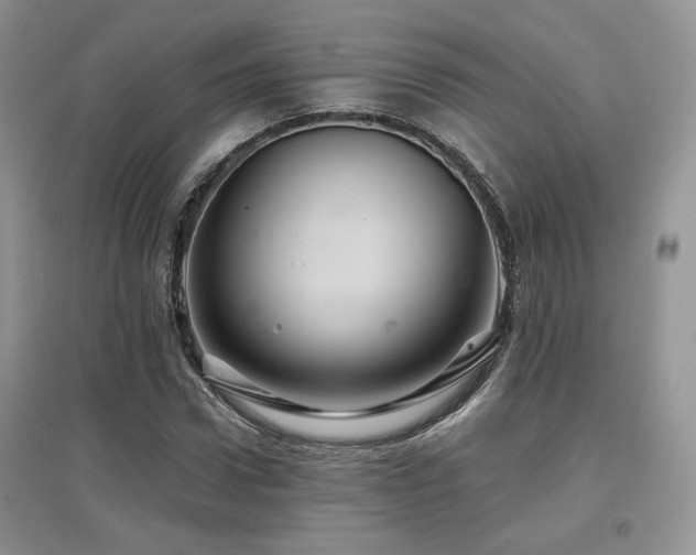 X0000097830922200803141142