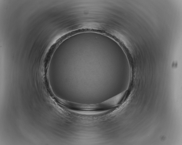 X0000097830923200803141142