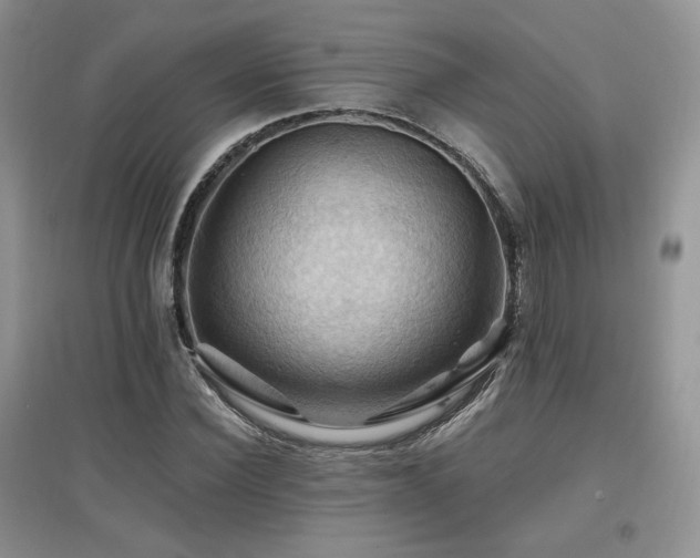 X0000097830924200803141142