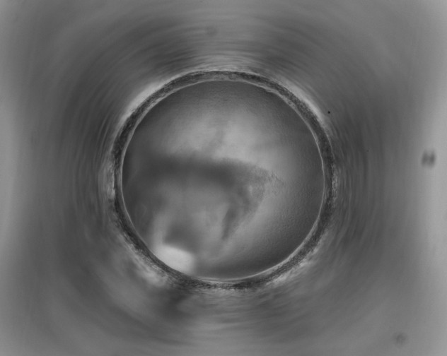 X0000097830925200803141142