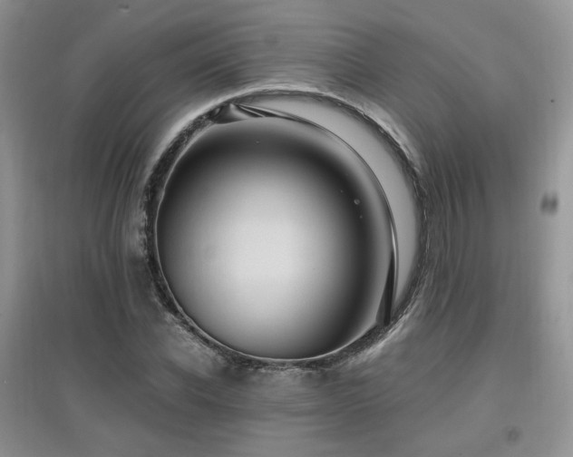 X0000097830926200803141142