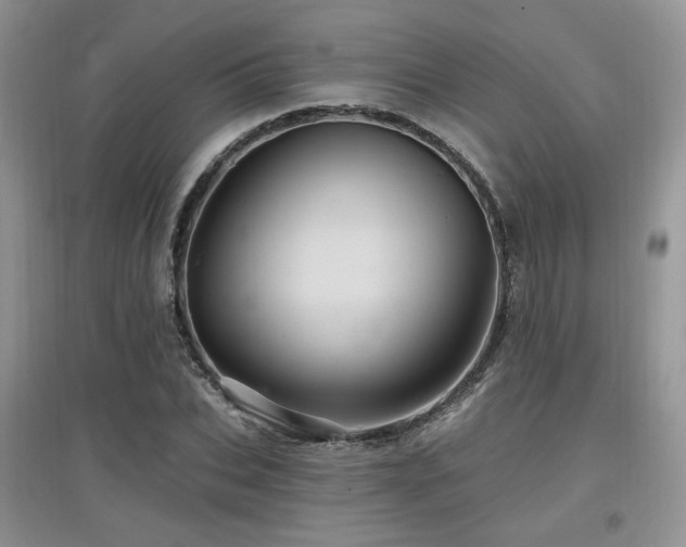 X0000097830927200803141142