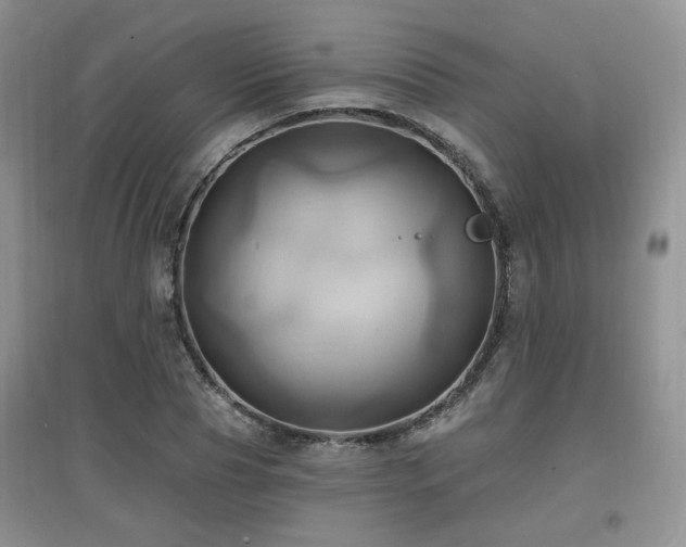 X0000097830929200803141142
