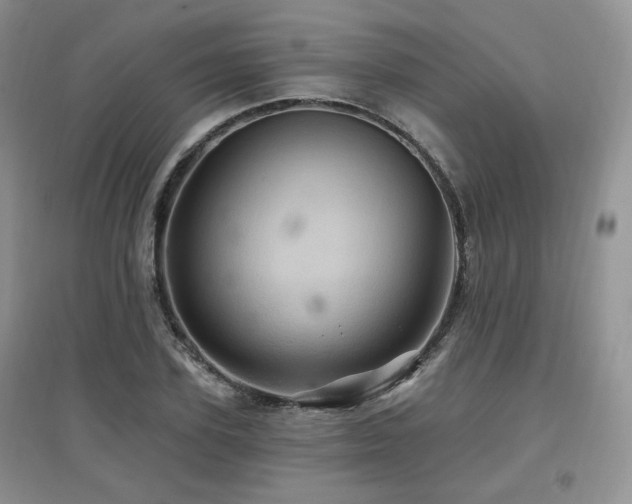 X0000097830931200803141142