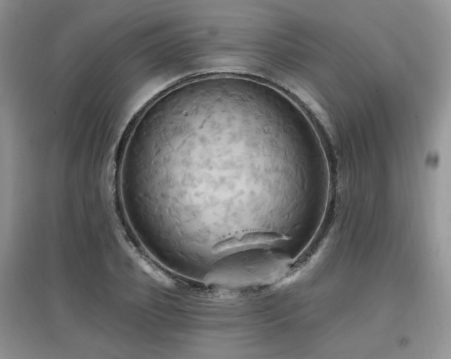 X0000097830933200803141142