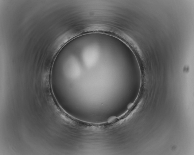 X0000097830937200803141142