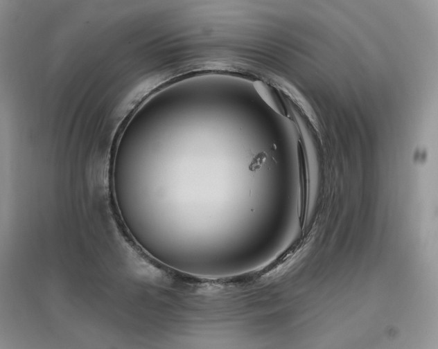 X0000097830938200803141142