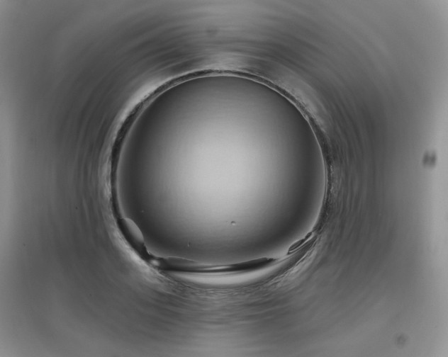 X0000097830939200803141142