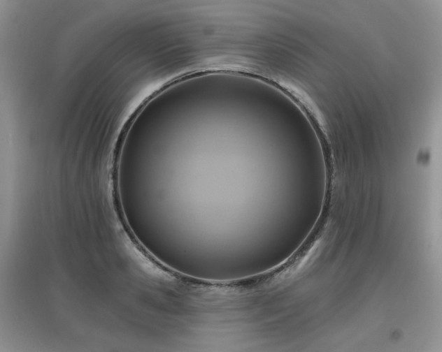 X0000097830941200803141142