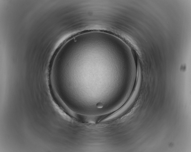X0000097830942200803141142