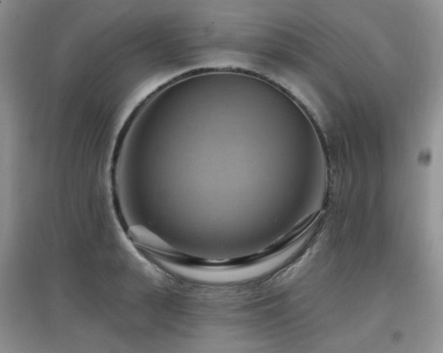 X0000097830943200803141142