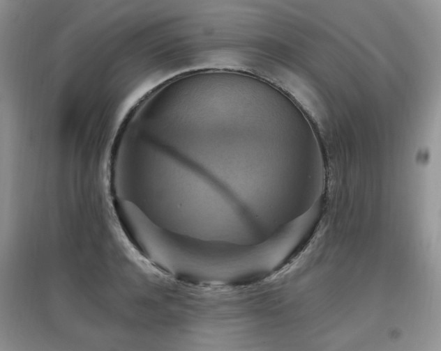 X0000097830944200803141142