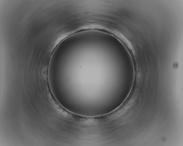 X0000097830945200803141142