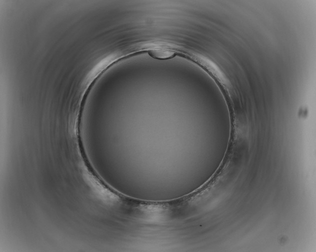 X0000097830946200803141142