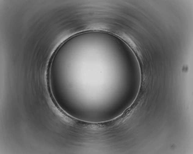X0000097830947200803141142