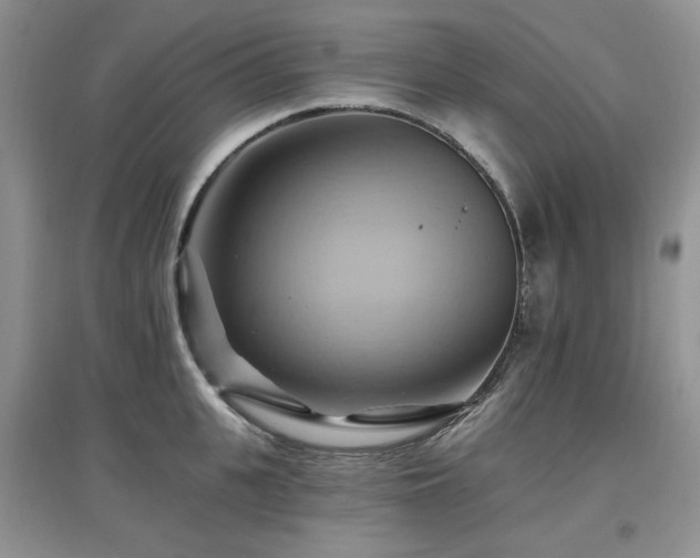 X0000097830951200803141142