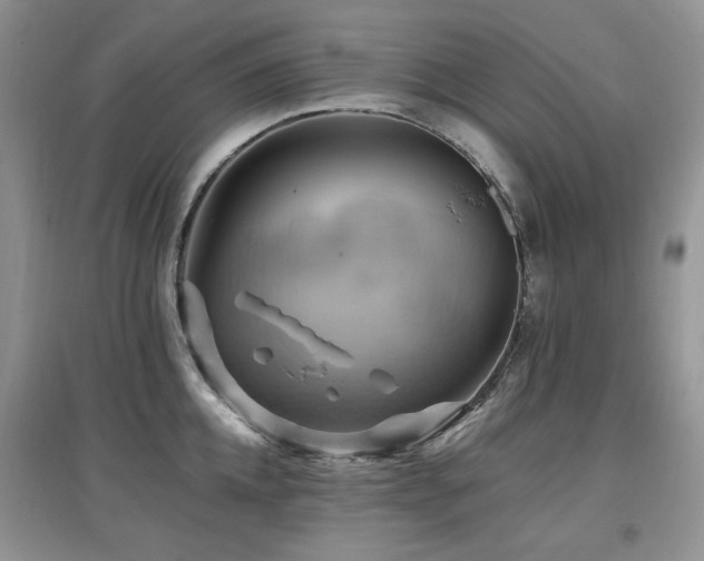 X0000097830952200803141142