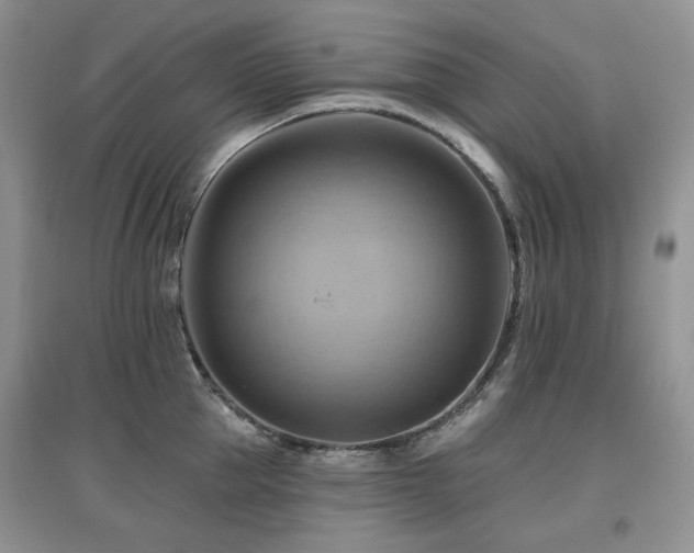 X0000097830953200803141142