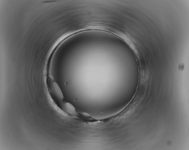 X0000097830955200803141142