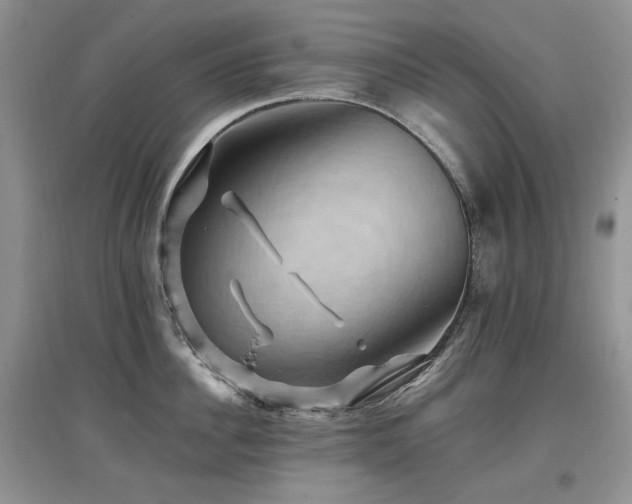 X0000097830956200803141142